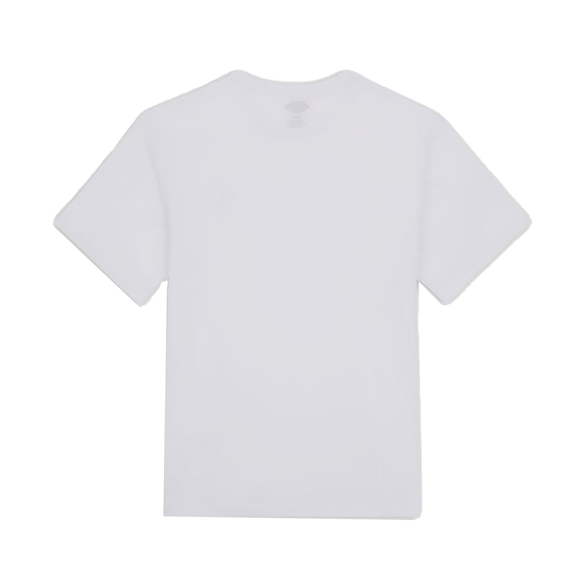 Dickies T-Shirt Aitkin White Dark Forest - 2
