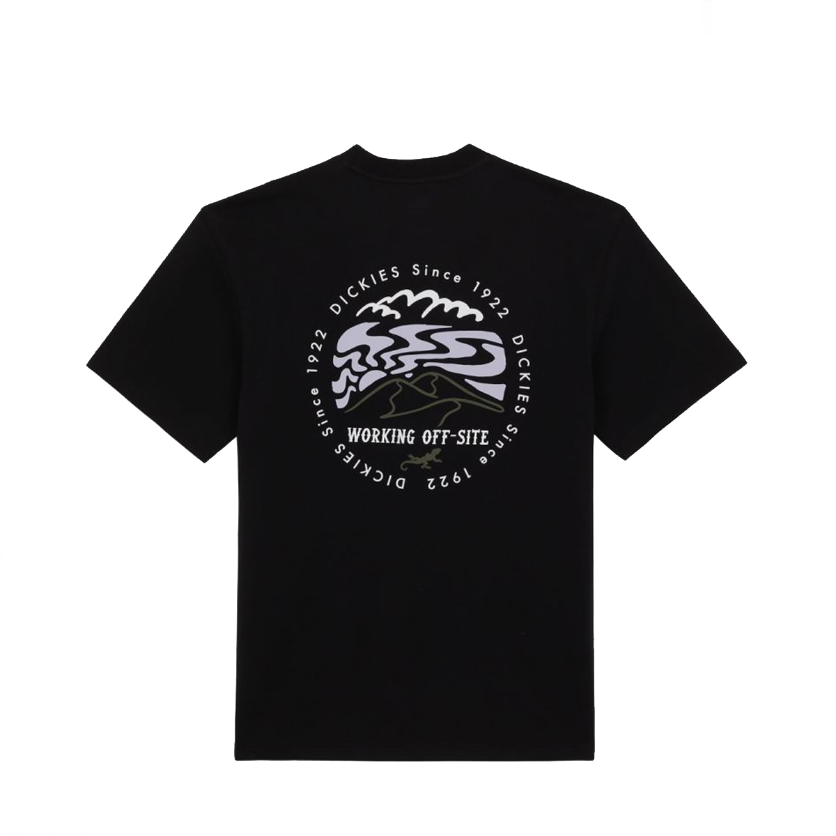 Dickies T-Shirt Stanardsville Black - 3