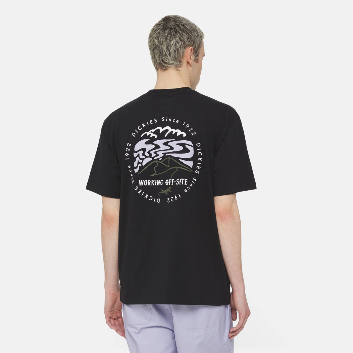 Dickies T-Shirt Stanardsville Black - 4