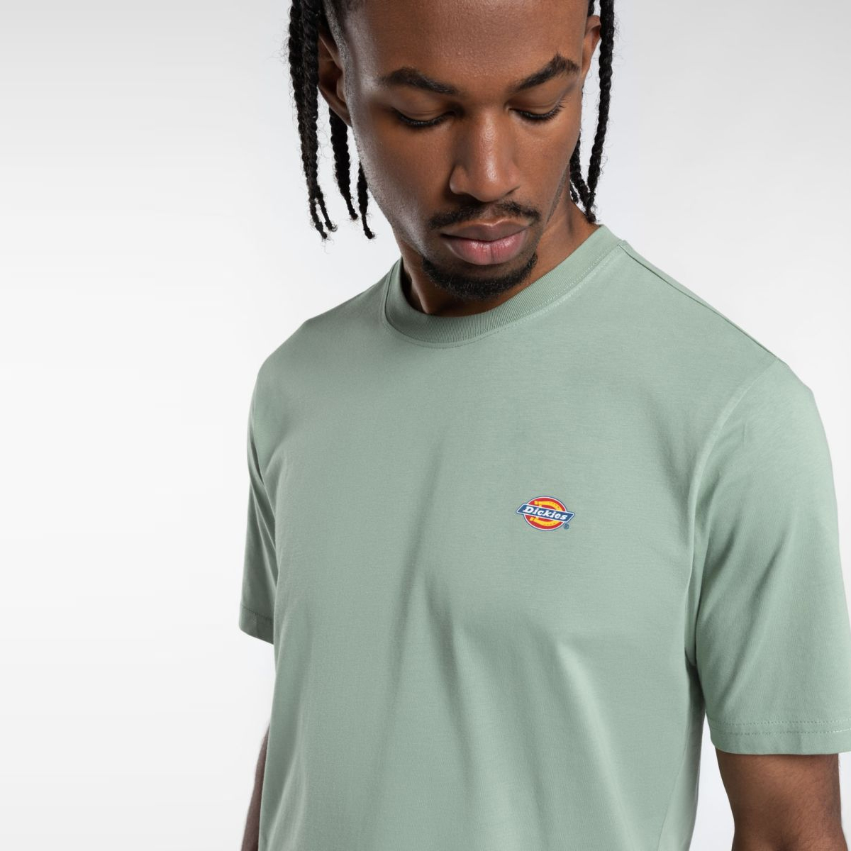 Dickies T-Shirt Mapleton Iceberg Green - 5 Dickies T-Shirt Mapleton Iceberg Green - 5