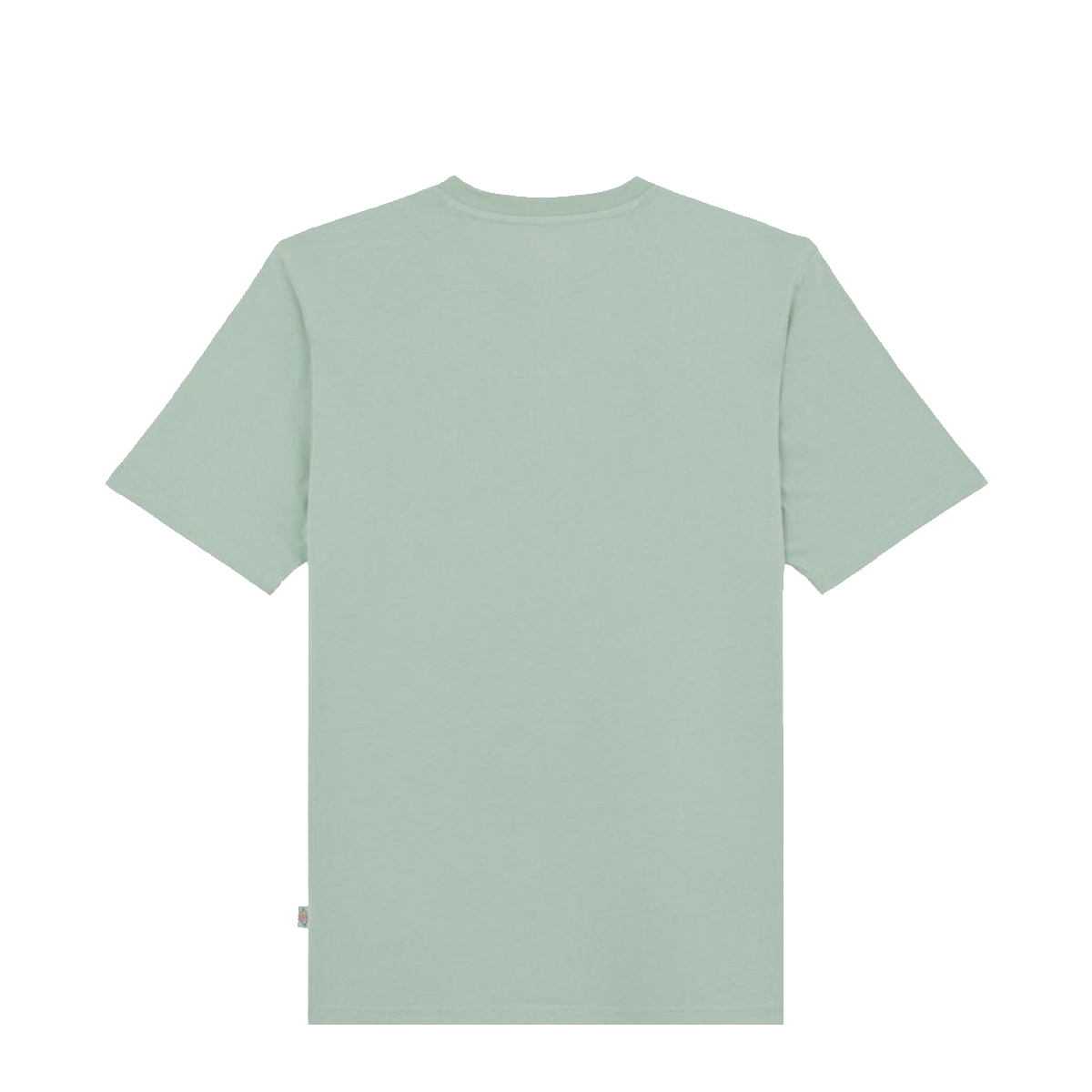 Dickies T-Shirt Mapleton Iceberg Green - 6 Dickies T-Shirt Mapleton Iceberg Green - 6