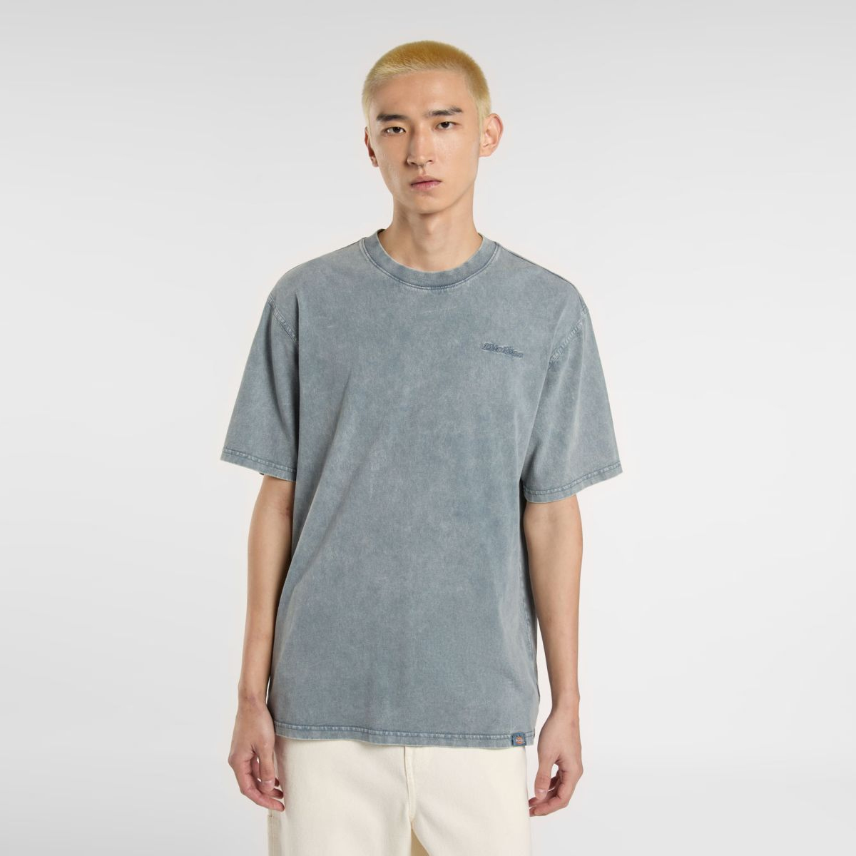 Dickies T-Shirt Plentywood Stormy Weather - 2