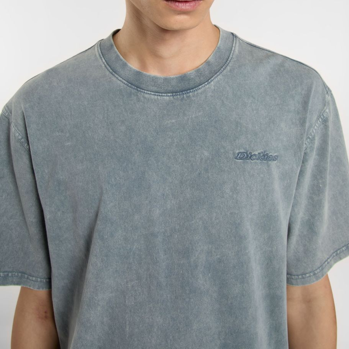 Dickies T-Shirt Plentywood Stormy Weather - 5