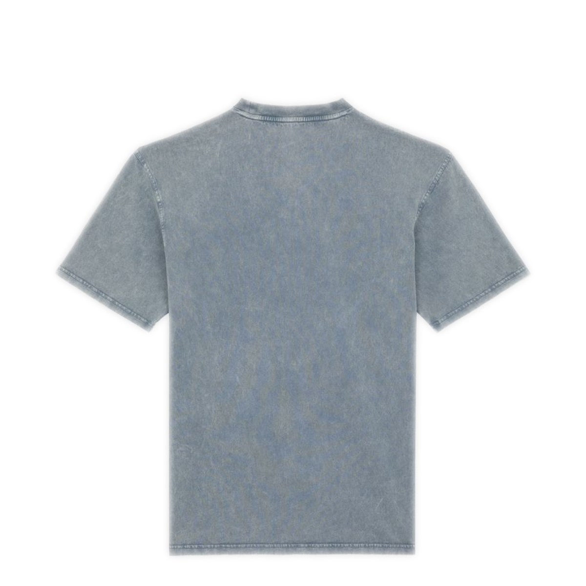 Dickies T-Shirt Plentywood Stormy Weather - 7
